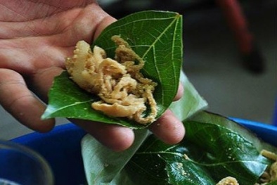 Ăn nem Phùng “rởm”:  Sướng miệng hại thân!